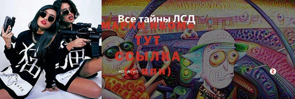 ПСИЛОЦИБИНОВЫЕ ГРИБЫ Заводоуковск