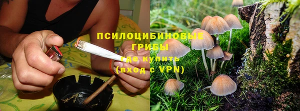 спиды Зерноград