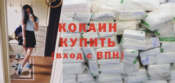 ПСИЛОЦИБИНОВЫЕ ГРИБЫ Заводоуковск