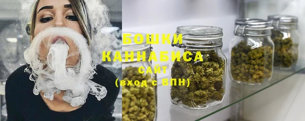 ПСИЛОЦИБИНОВЫЕ ГРИБЫ Заводоуковск