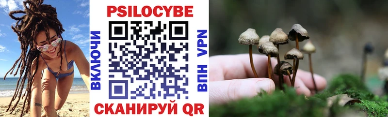 Псилоцибиновые грибы MAGIC MUSHROOMS  Купить где  Ессентукская 